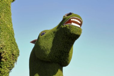 Dubai, Birleşik Arap Emirlikleri - 12 / 23 / 2019: Dubai Mucize Bahçesi