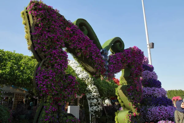 Dubai Vereinigte Arabische Emirate 2019 Dubai Miracle Garden — Stockfoto