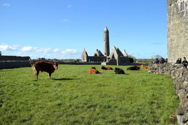 Old Abandoned Village Kilmacduagh Ireland — Stock Photo, Image