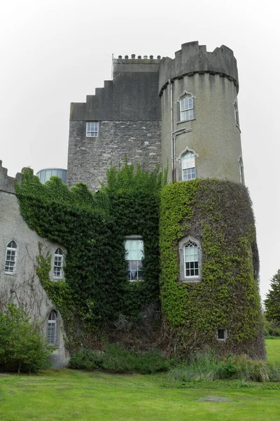 Wnętrze Zamku Malahide Dublin Irlandia — Zdjęcie stockowe