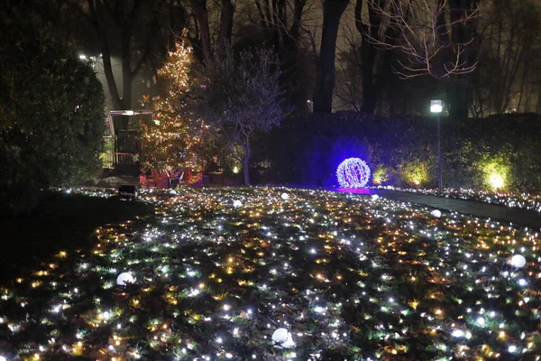 Jardim Abstrato Decorado Com Luzes Brilhantes — Fotografia de Stock