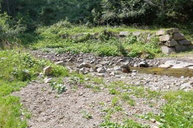 İtalya, Trentino Alto Adige 'de orman ve doğa