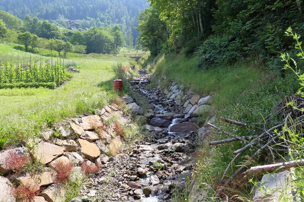 İtalya, Trentino Alto Adige 'de orman ve doğa