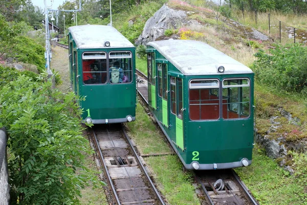 Stockholm Švédsko 2019 Atrakce Workshopy Řemeslníci Zvířata Vystavená Stockholmu Skansen — Stock fotografie