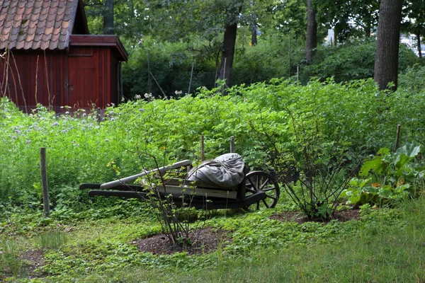 Stockholm 2019 Sevärdheter Workshops Konsthantverkare Och Djur Visas Stockholm Skansen — Stockfoto