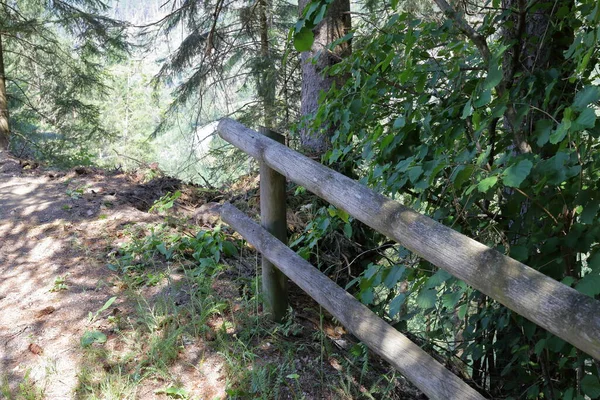 Skogar Och Natur Trentino Alto Adige Italien — Stockfoto