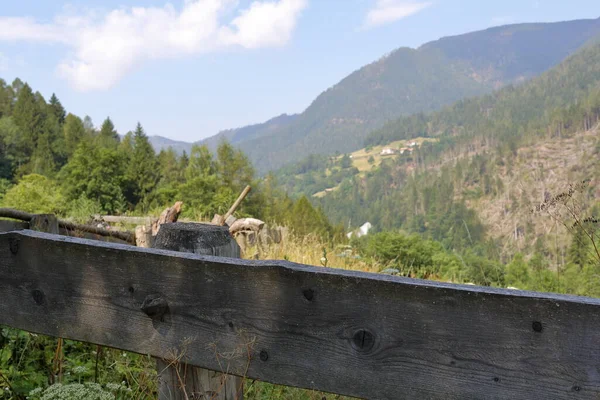 Δάση Και Φύση Στο Trentino Alto Adige Ιταλία — Φωτογραφία Αρχείου