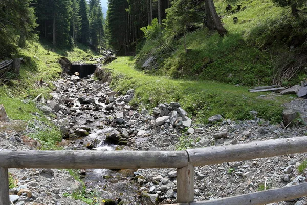 Δάση Και Φύση Στο Trentino Alto Adige Ιταλία — Φωτογραφία Αρχείου