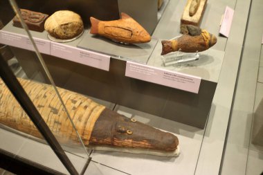 Torino, İtalya - 07 / 04 / 2018: Mısır 'ın Torino Müzesinde mumyalar, eserler ve Mısırlıların bulguları sergileniyor