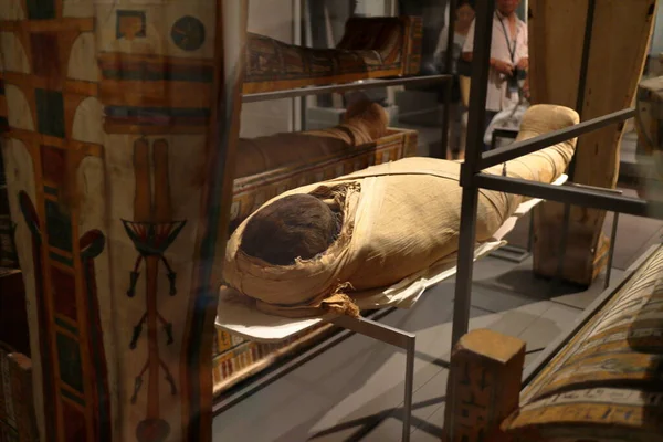 Турин Италия 2018 Выставка Мумий Артефактов Египетских Находок Египетском Музее — стоковое фото