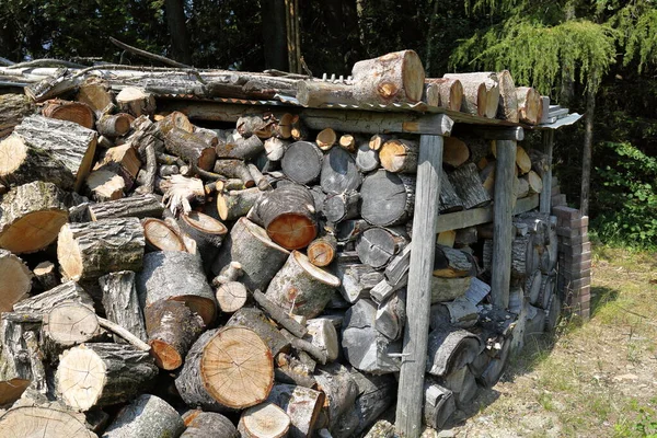 Haufen Gehäckseltes Holz Wald — Stockfoto