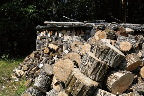 Piles Chopped Wood Woods — Stock Photo, Image