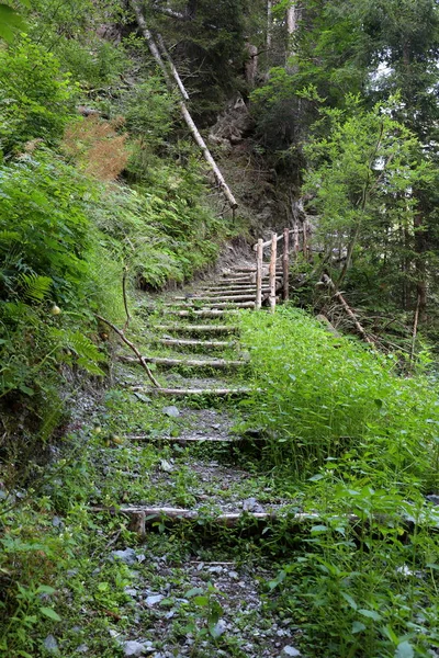 Stone Staircase Middle Trentino Forest — Stock Photo, Image