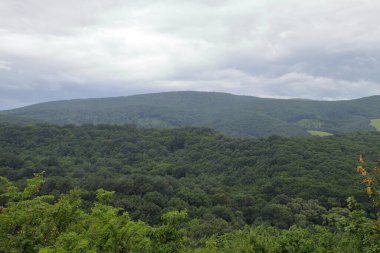 Hollk, Macaristan - 12 / 07 / 2020: Macaristan 'daki Hollk Kalesinin içi ve dışı