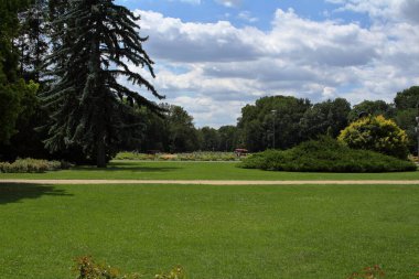 Budapeşte Margaret Adası Tuna Nehri 'nin ortasında.