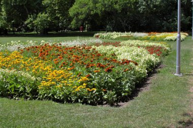 Budapeşte Margaret Adası Tuna Nehri 'nin ortasında.