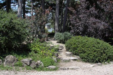 Budapeşte Margaret Adası Tuna Nehri 'nin ortasında.