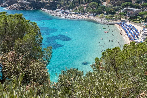 Schöner Strand Auf Der Insel Giglio — Stockfoto
