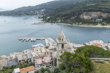Palmaria adasının yeşil suları olan bir sahil manzarası.