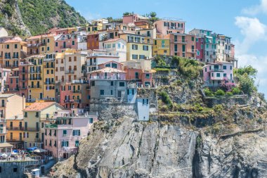 Cinque Terre 'deki Manarola' nın ön planda bir agave ile hava görüntüsü