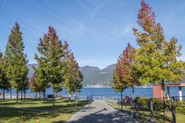Maggiore Gölü yakınlarındaki Luino 'da kırmızı yapraklı yaprak.
