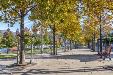 Maggiore Gölü yakınlarındaki Luino 'da kırmızı parktaki bir bankta..