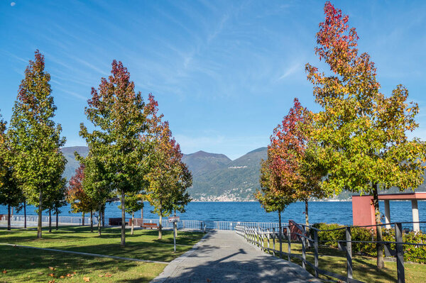 Foliage with red leaves in Luino near the Lake Maggiore