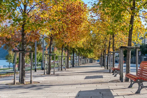 Loof Met Een Rode Parkbank Luino Bij Het Lago Maggiore — Stockfoto