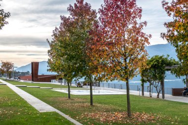 Luino 'da bir parkta küçük fıskiyeleri olan bir yeşillik.