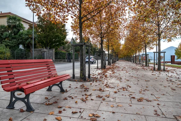 Loof Met Een Rode Parkbank Luino Bij Het Lago Maggiore — Stockfoto