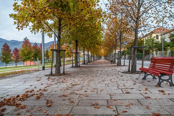 Loof Met Een Rode Parkbank Luino Bij Het Lago Maggiore — Stockfoto