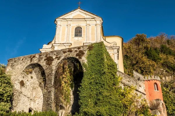 Fogliame Maccagno Contro Cielo Blu — Foto Stock