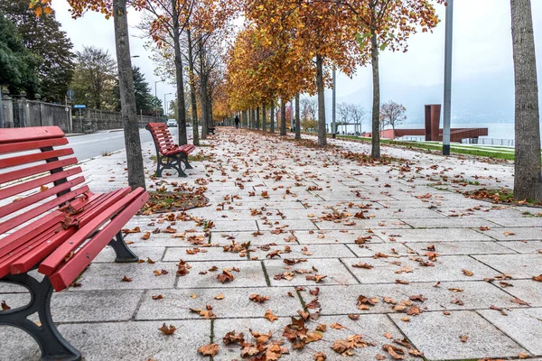 Loof Het Park Bij Het Lago Maggiore Luino Met Rode — Stockfoto