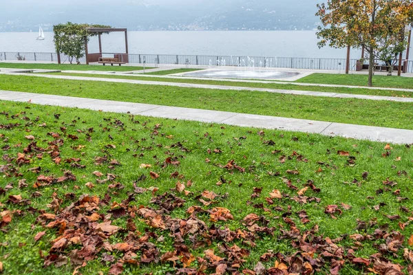 Loof Het Park Bij Het Maggioremeer Luino — Stockfoto