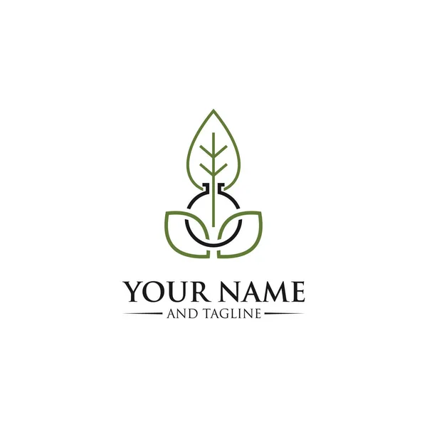 Plantilla Logotipo Planta Salud Vector Brote Ilustración Naturaleza Para Diseño — Vector de stock