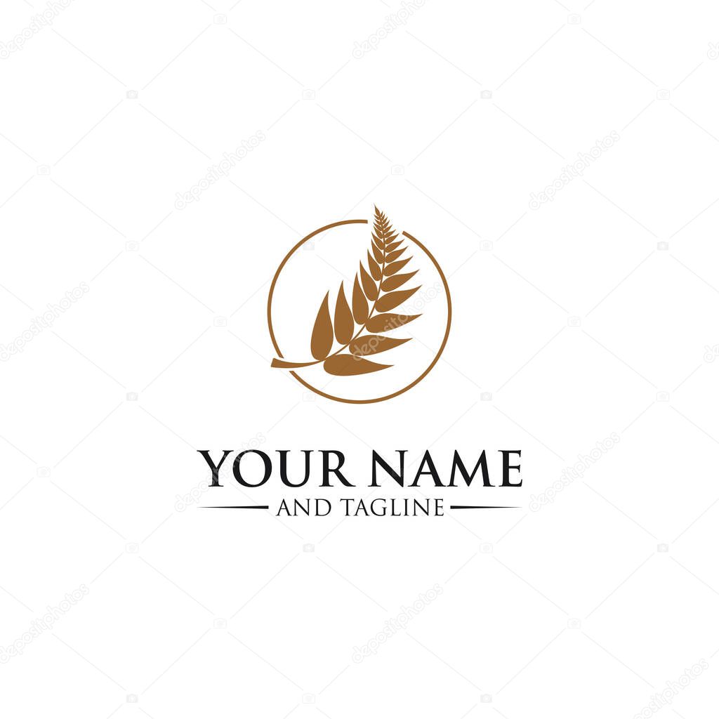 New leaf logo luxury leaf logo design inspiration . fern logo design inspiration . fern leaf logo template . luxurious style