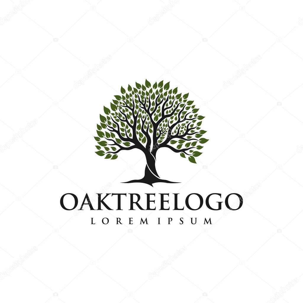 Root Of The Tree logo illustration. Vector silhouette of a tree.