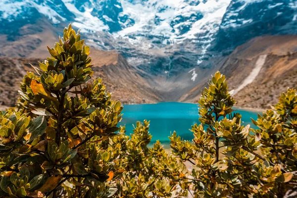 Humantay Gölü, Cusco, Peru. Zümrüt renkli göl. And Dağları karlı.