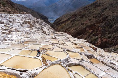 Cusco, Peru, 12 Ağustos 2022: Peru 'nun Cusco kentinde tuz terasları ve bir işçinin tuz taşıması. Bu UNESCO miras sitesi geleneksel And kültürünü, tarihini ve eşsiz sanatsal tuz üretimini temsil etmektedir..