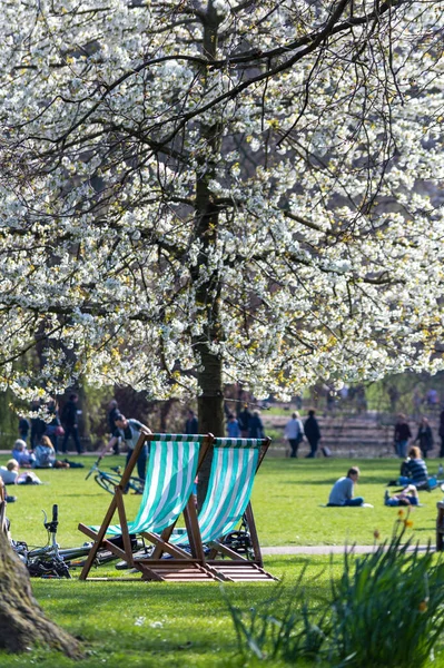 Empty park chairs in St James park, spring. London, UK