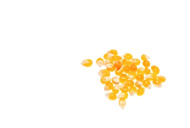 Beyaz arkaplanda izole mısır tohumları