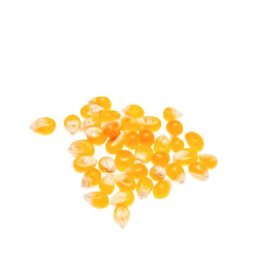 Beyaz arkaplanda izole mısır tohumları