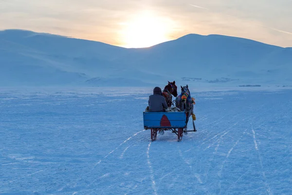 Atlar kışın kızak çekiyor, Cildir Gölü, Kars