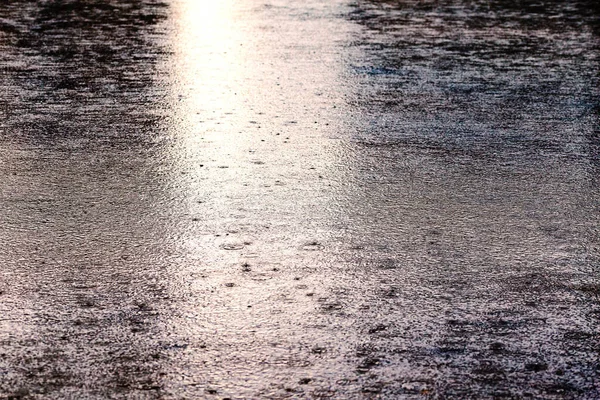 Rain drops on the surface of water in a puddle. Rainy day.