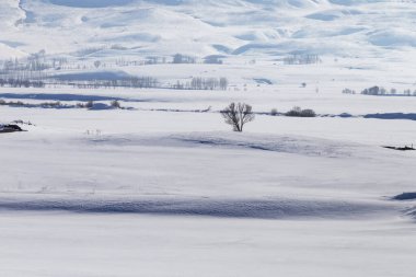 Tren penceresinden karlı manzara, arka plan
