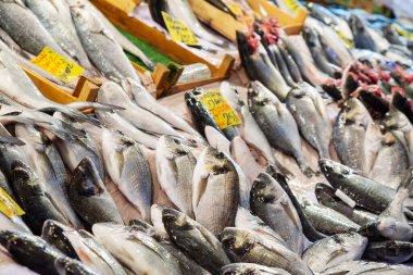 Pazarda taze balıklar.