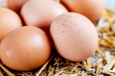 Samandaki çiğ tavuk yumurtalarına yakından bak..