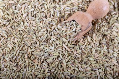 Kurutulmuş Anasonlu ya da Aniseed. Arkaplan.