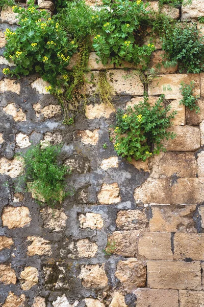 土耳其马尔丁街头的旧石墙 — 图库照片