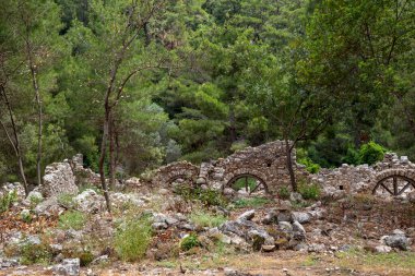 Türkiye 'nin Antalya ilinin Cirali köyündeki antik Olimpos kentinin kalıntıları